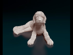 Old English sheepDog Modello di stampa 3D