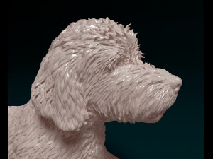 Old English sheepDog Modello di stampa 3D