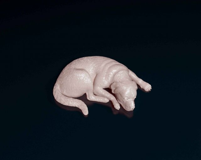 Rottweiler lying down Modello di stampa 3D .c4d .max .obj .3ds .fbx .stl .blend 