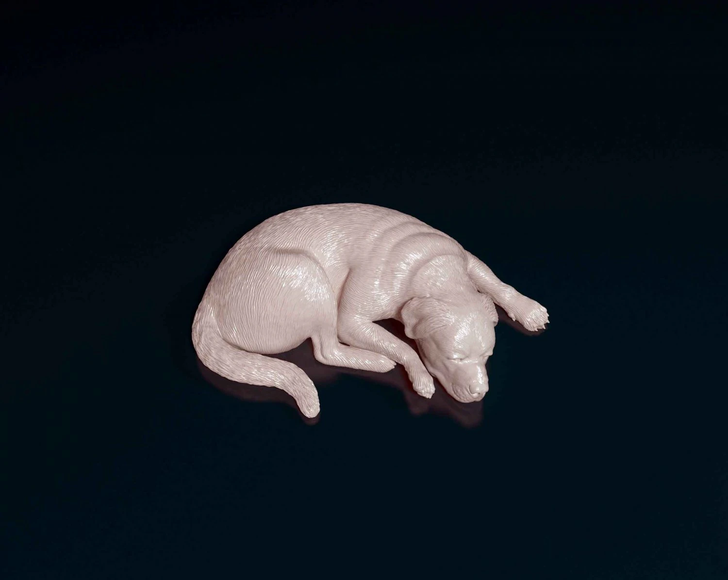 Rottweiler lying down 3D Print Model .c4d .max .obj .3ds .fbx .stl .blend