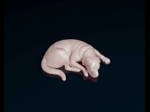 Rottweiler lying down 3D Print Model