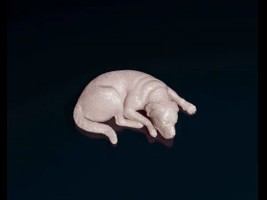 Rottweiler couch&eacute; Modèles 3D en vedette