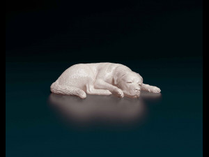 Rottweiler lying down Modello di stampa 3D