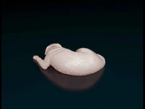 Rottweiler lying down 3D Print Model