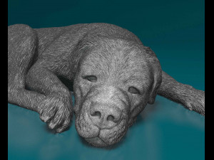 Rottweiler lying down Modello di stampa 3D