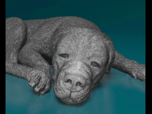Rottweiler lying down 3D Print Model
