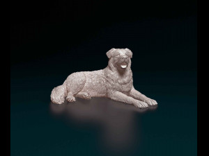 Saint Bernard cross German Shepherd 3D 프린트 모델