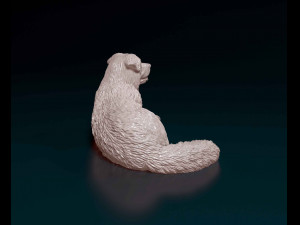 Saint Bernard cross German Shepherd Model do druku 3D