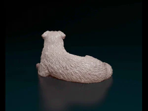 Saint Bernard cross German Shepherd 3D Print Model