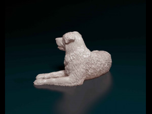 Saint Bernard cross German Shepherd Model do druku 3D