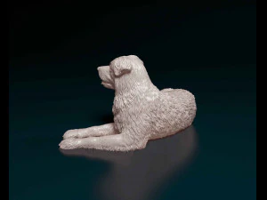 Saint Bernard cross German Shepherd 3D Print Model