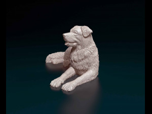 Saint Bernard cross German Shepherd Model do druku 3D