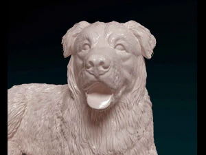 Saint Bernard cross German Shepherd 3D Print Model