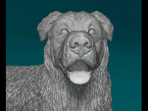 Saint Bernard cross German Shepherd Model do druku 3D