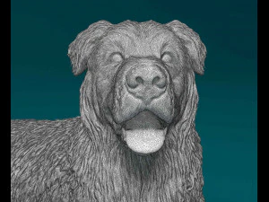 Saint Bernard cross German Shepherd 3D Print Model