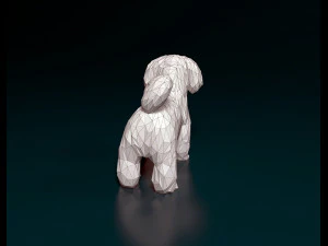 Shih Tzu lowpoly 3D Print Model