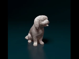 Shih Tzu mit Zunge 3D Druckmodell