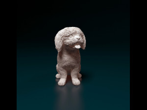 Shih Tzu with tongue 3D Print Model