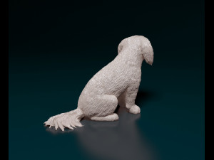 Shih Tzu with tongue 3D Print Model
