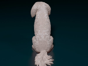Shih Tzu with tongue 3D Print Model