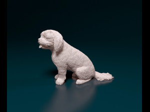 Shih Tzu with tongue 3D Print Model