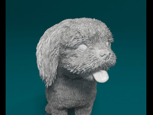 Shih Tzu with tongue 3D Print Model