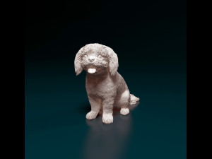 Shih Tzu with tongue 3D Print Model