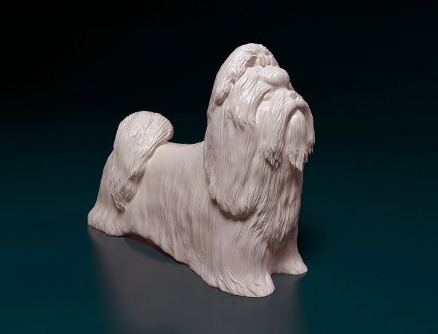 Shih Tzu 3D Принт Модель .c4d .max .obj .3ds .fbx .stl .blend 