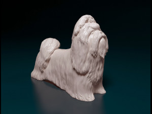 Shih Tzu 3D 打印模型