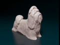 Shih Tzu 3D प्रिंट मॉडल