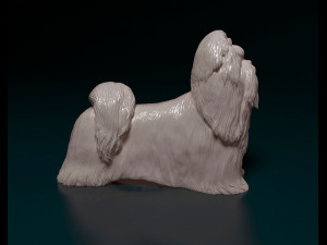 Shih Tzu 3D Принт Модель