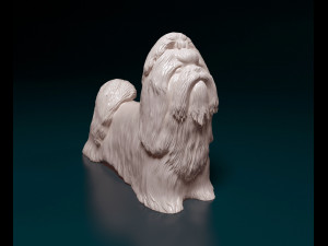Shih Tzu 3D Принт Модель
