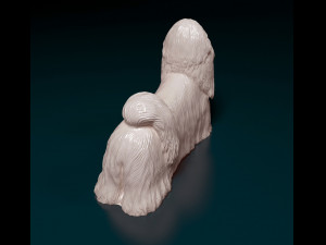 Shih Tzu 3D Принт Модель