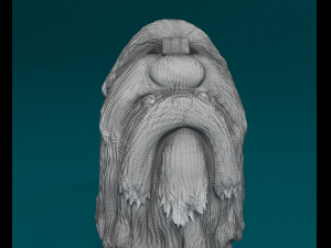 Shih Tzu 3D Принт Модель