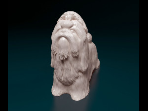 Shih Tzu 3D Принт Модель