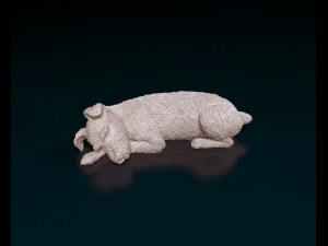 Sleeping Schnauzer 3D Print Model