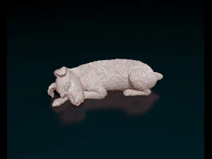 睡觉的雪纳瑞 3D 打印模型