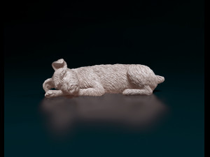 Sleeping Schnauzer Modello di stampa 3D