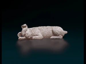 Sleeping Schnauzer 3D Print Model