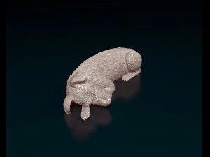 Sleeping Schnauzer 3D Print Model
