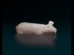 Sleeping Schnauzer 3D Print Model
