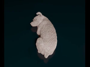 Sleeping Schnauzer 3D Print Model