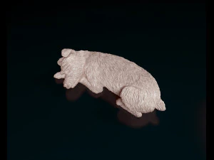 Sleeping Schnauzer 3D Print Model