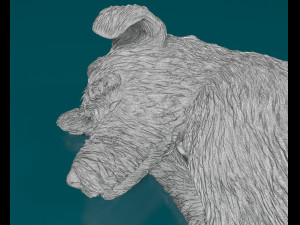 Sleeping Schnauzer Modello di stampa 3D