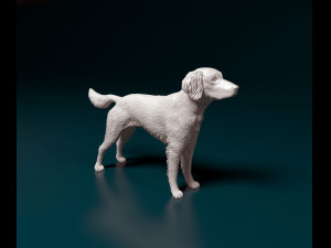 Small Munsterlander 3D Print Model