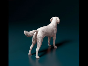 Small Munsterlander 3D Print Model