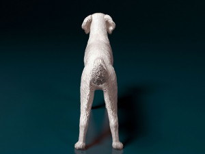 Small Munsterlander 3D Print Model