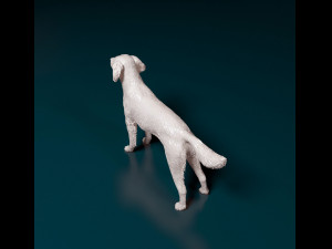 Small Munsterlander 3D Print Model