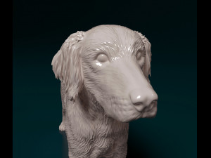 Small Munsterlander 3D Print Model