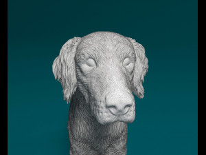 Small Munsterlander 3D Print Model